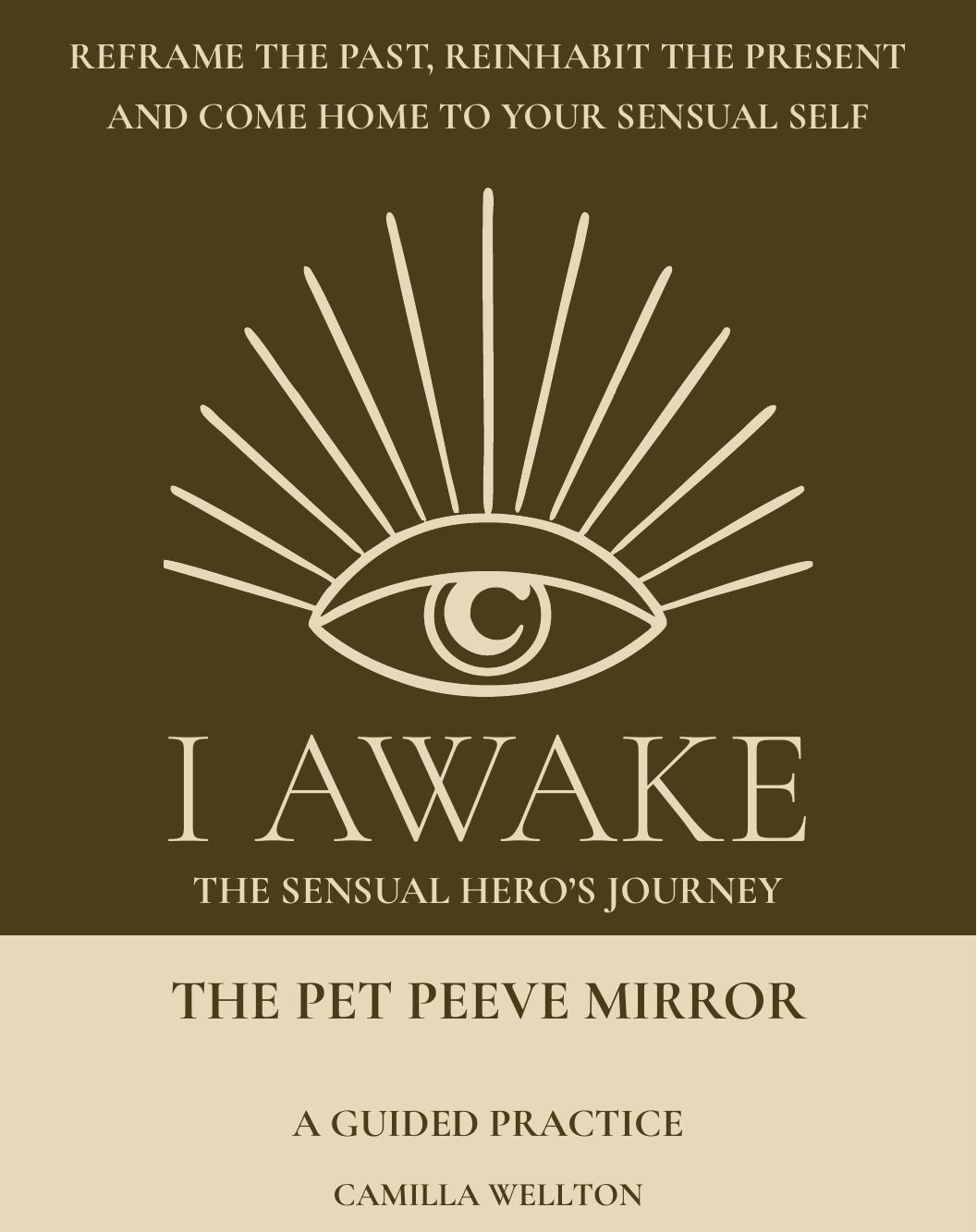 The Pet Peeve Mirror