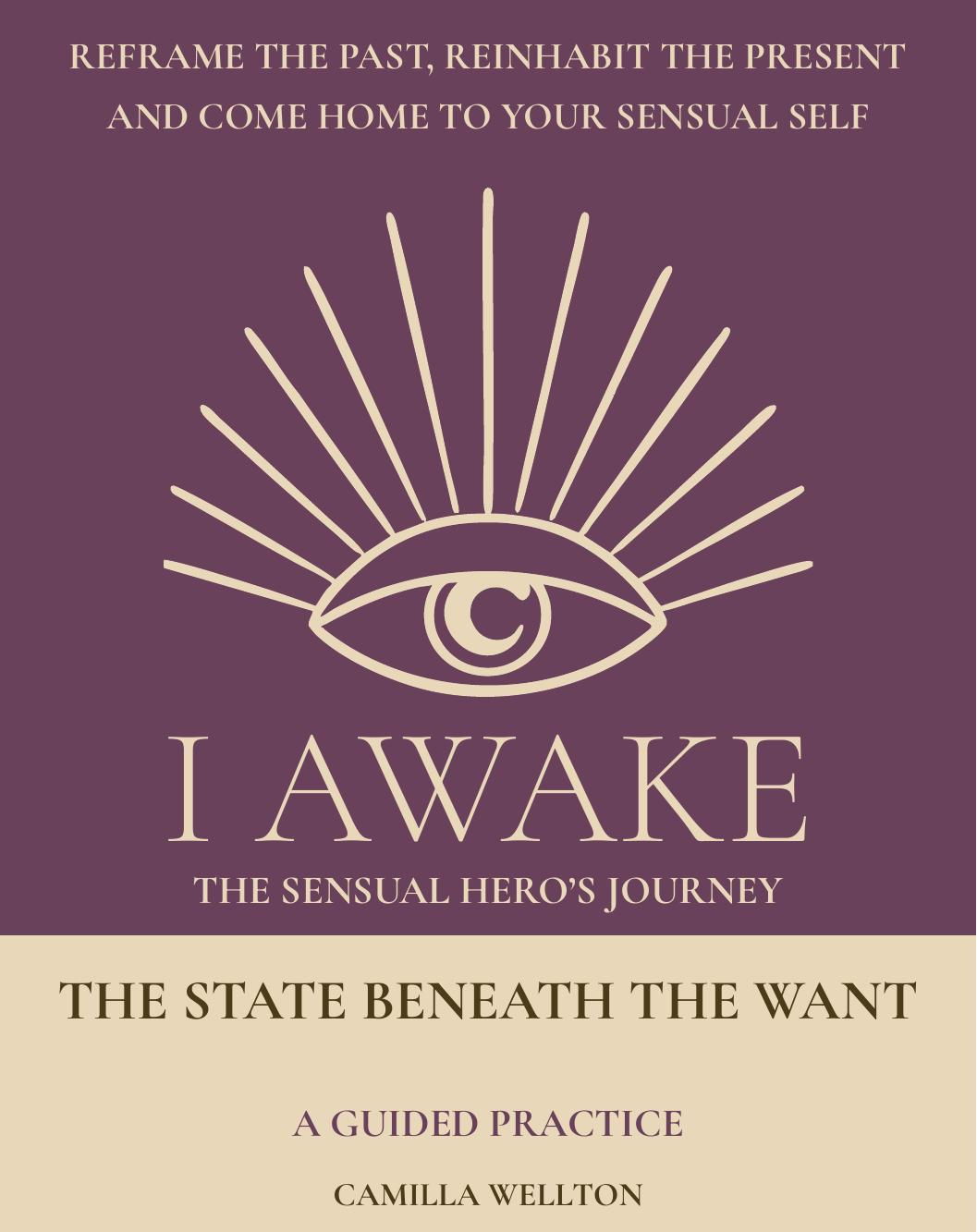 The State Beneath the Want · Svenska